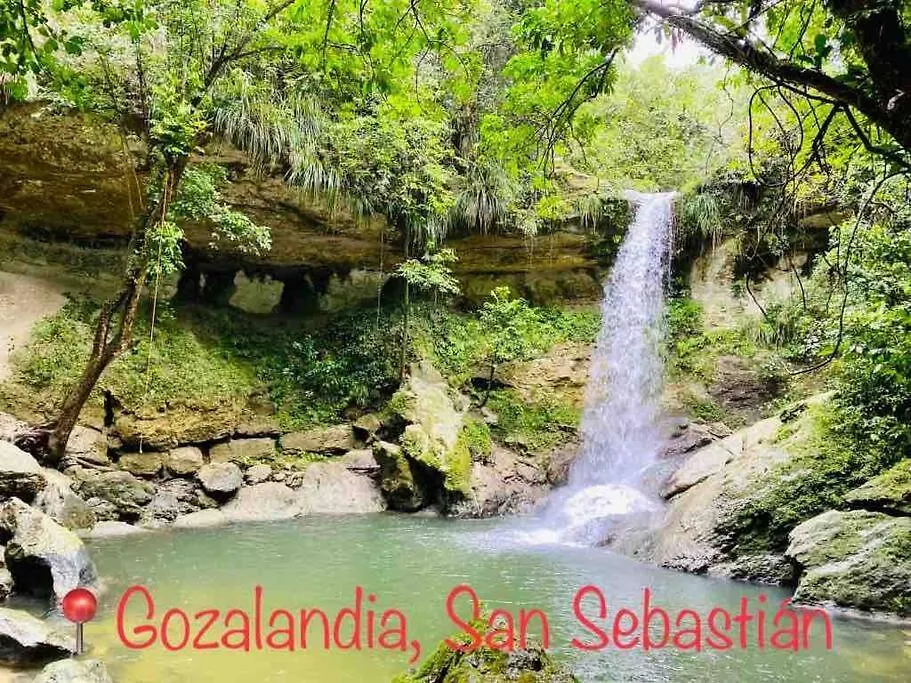Apartment With Private Jacuzzi Near Gozalandia Waterfall San Sebastian Puerto Rico